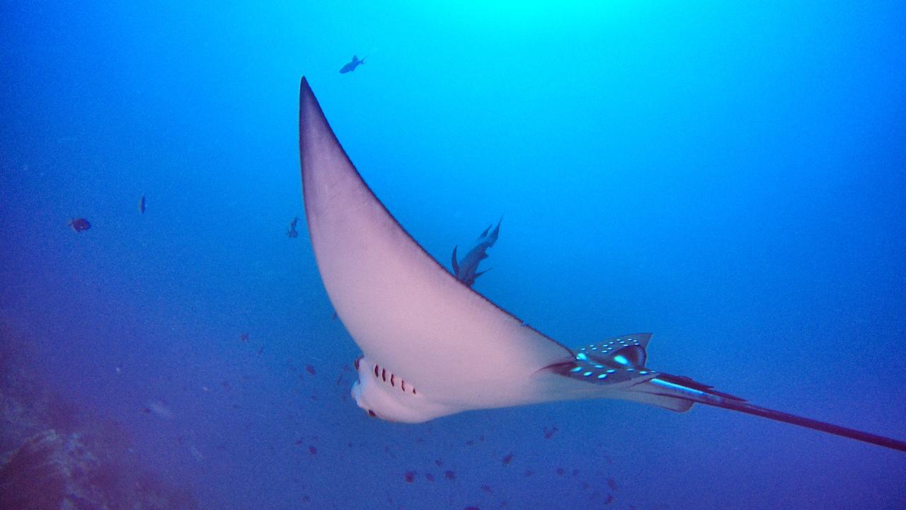 Athiri Beach Maldives Digura Kültér fotó