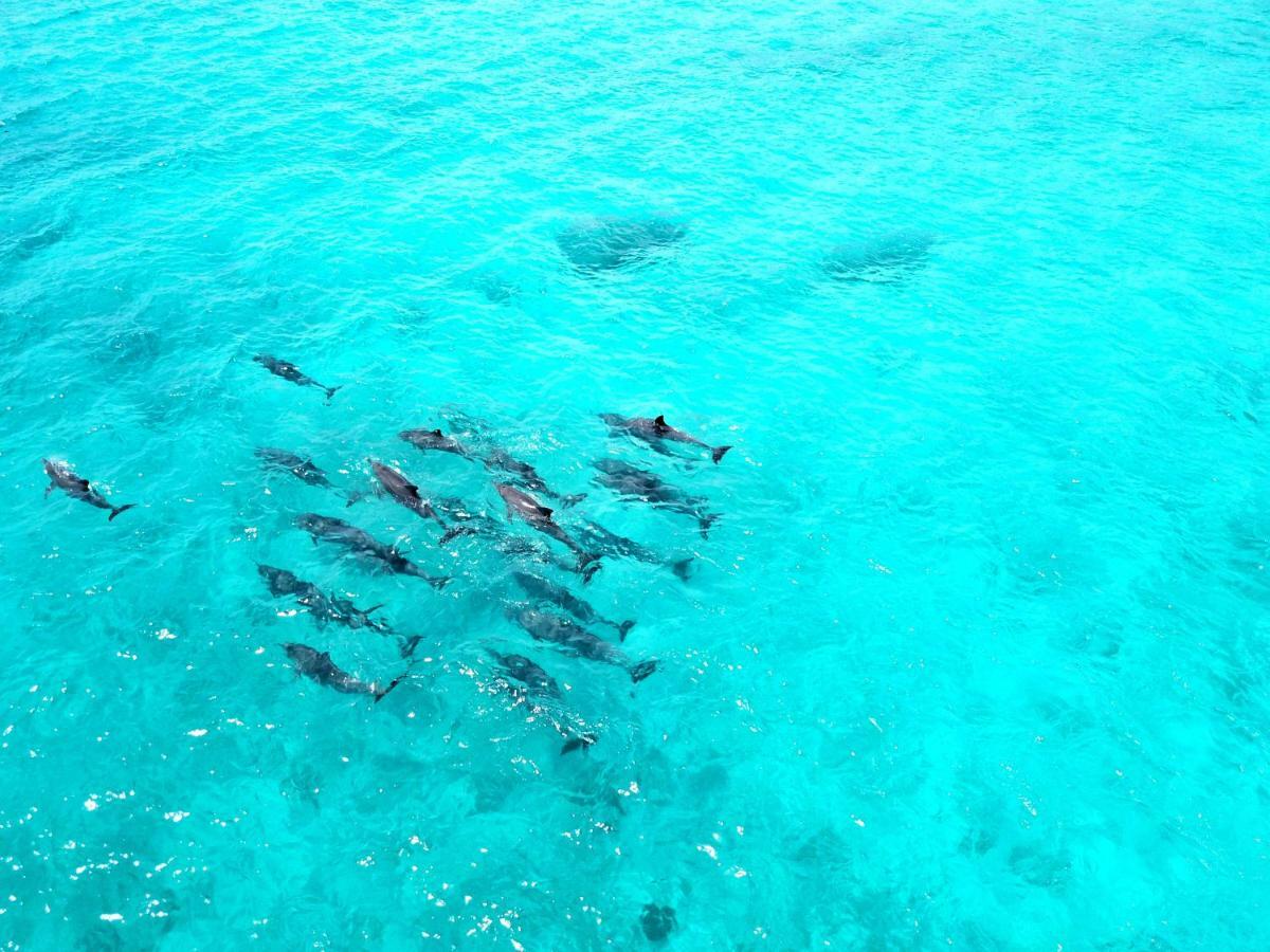Athiri Beach Maldives Digura Kültér fotó