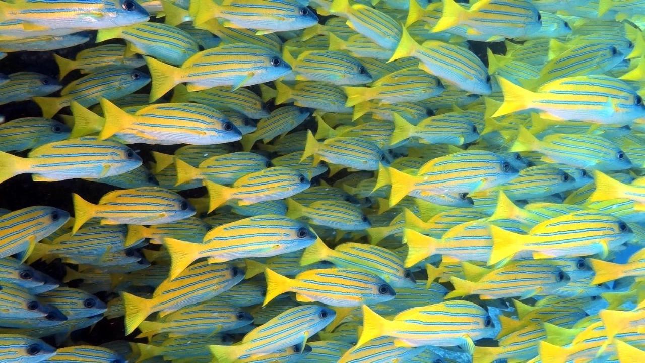 Athiri Beach Maldives Digura Kültér fotó