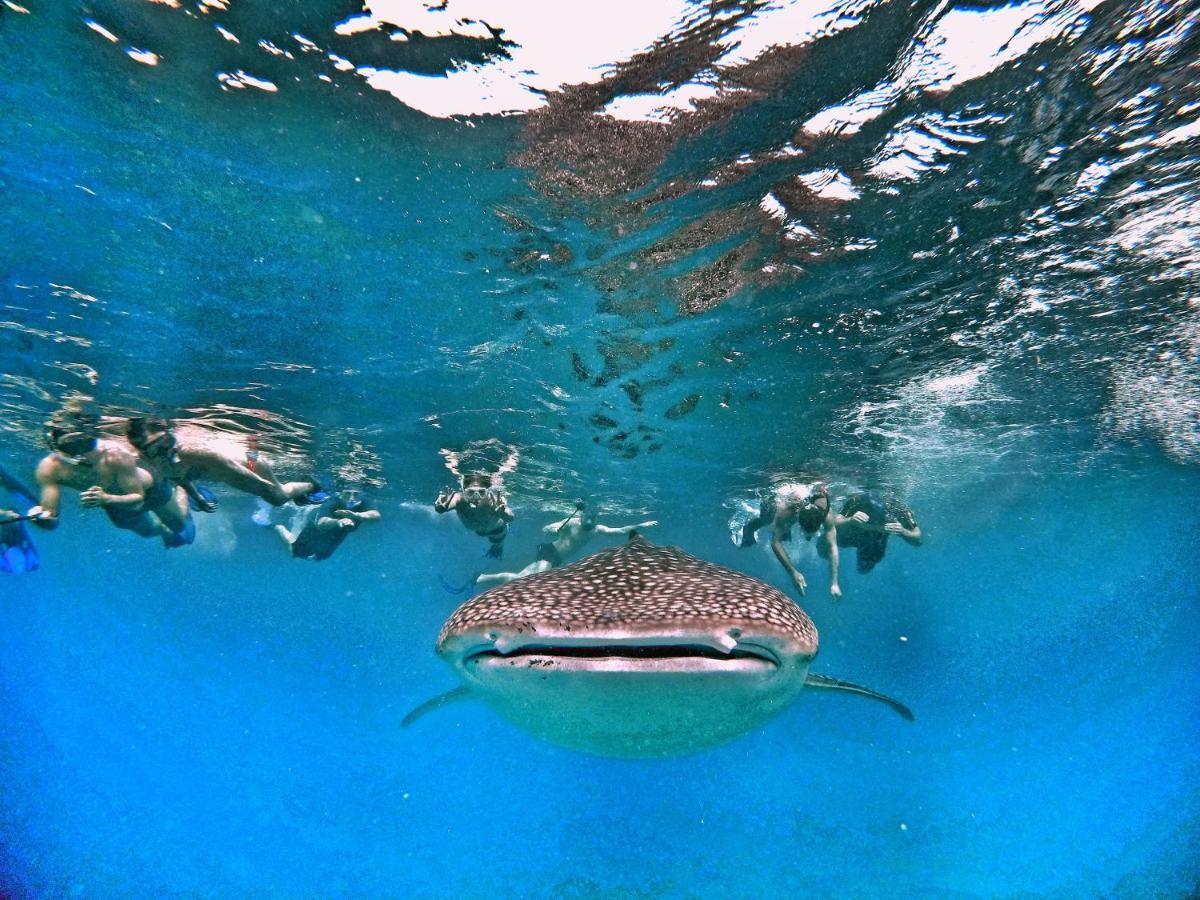 Athiri Beach Maldives Digura Kültér fotó